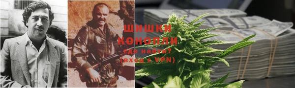 крисы Алзамай