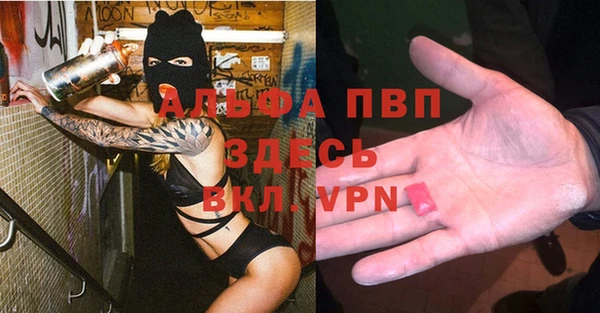 крисы Алзамай