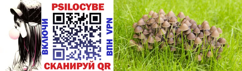 сайты даркнета какой сайт  Крым  Галлюциногенные грибы Psilocybe  где купить наркоту 